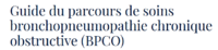 Guide du parcours de soins bronchopneumopathie chronique ... Image 1