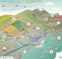 La biodiversité française en déclin : 10 ans de ... Image 1